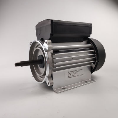 300-700W ηλεκτρική ενιαία φάση 3000rpm μηχανών υδραντλιών για τις αντλίες SPA και μπανιέρων
